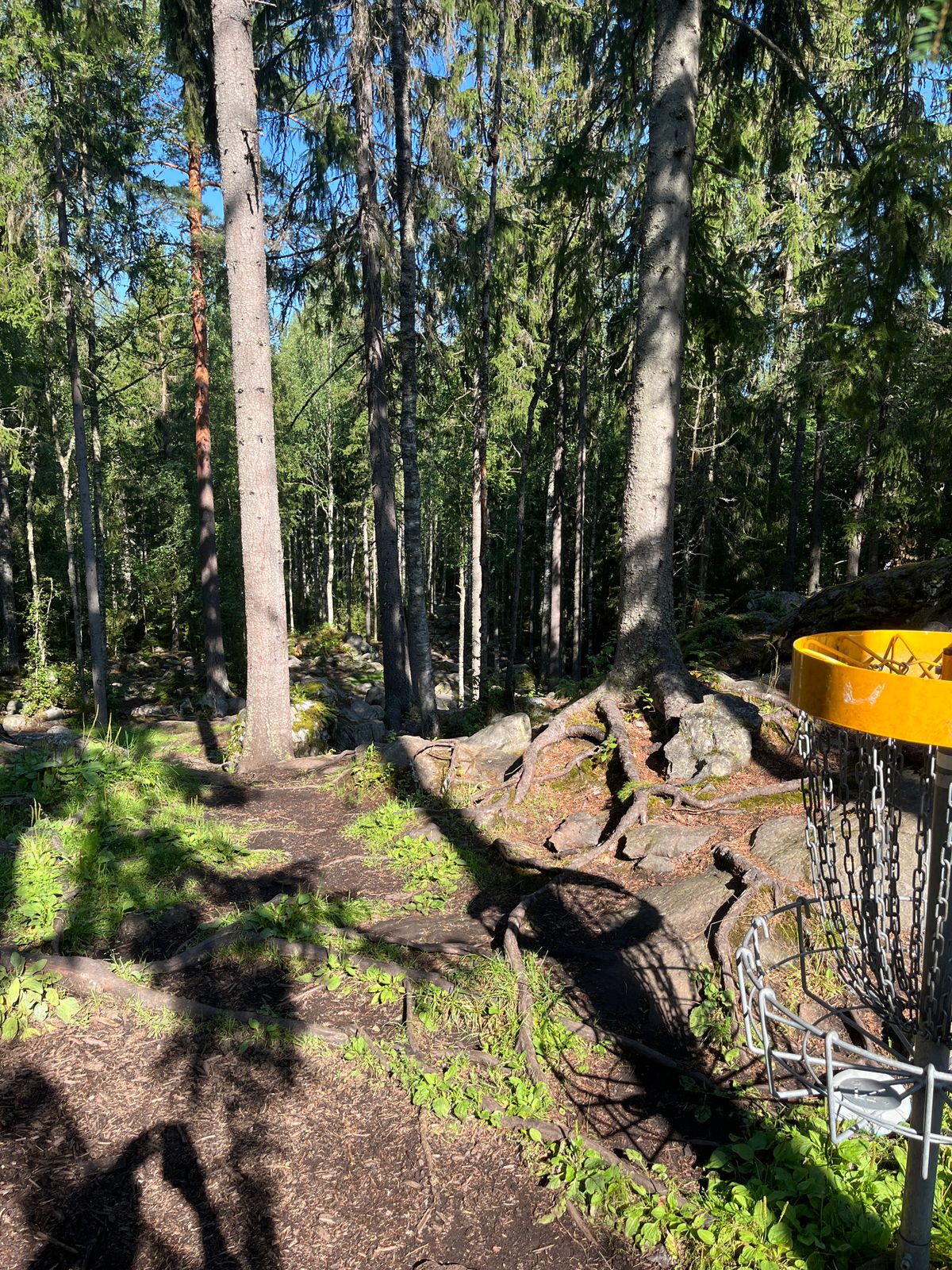 Hope 7, basket to tee