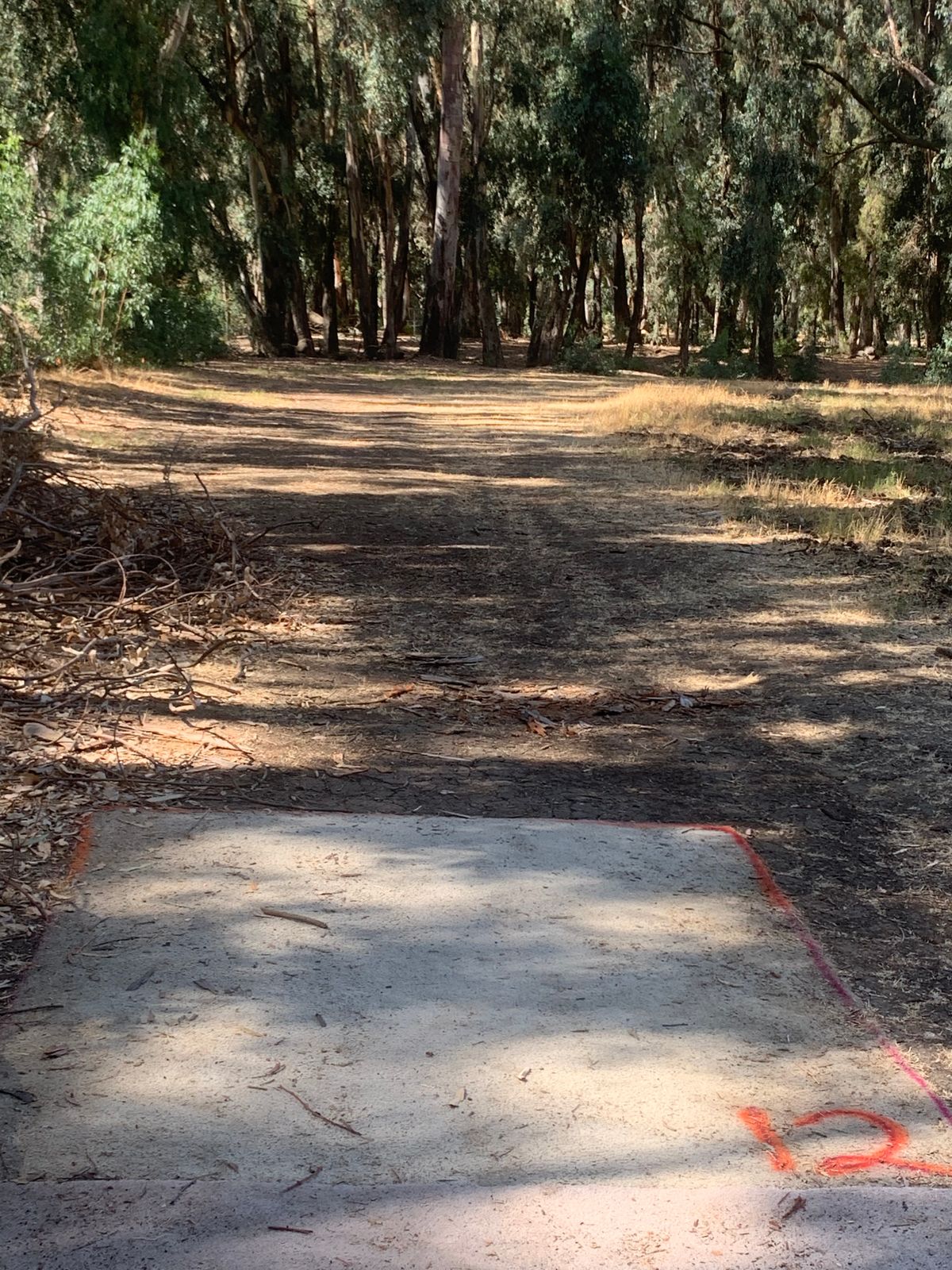 Hole #12