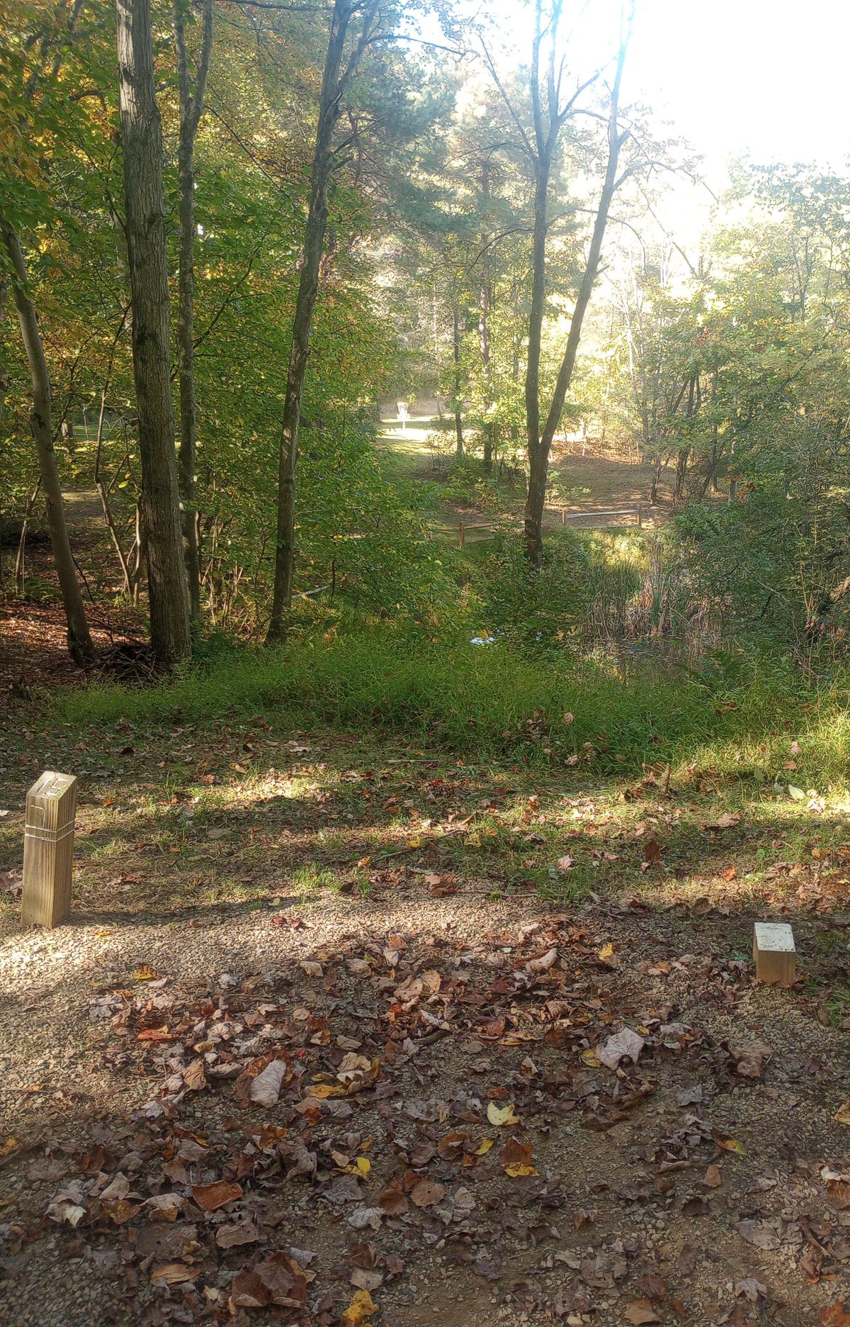 Hole 15 (fall)