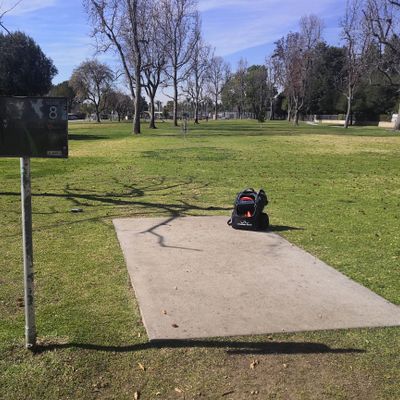 Hole 8 in the middle of the park is representative of the course. Flat, moderate trees, good tee pads, and clean.
