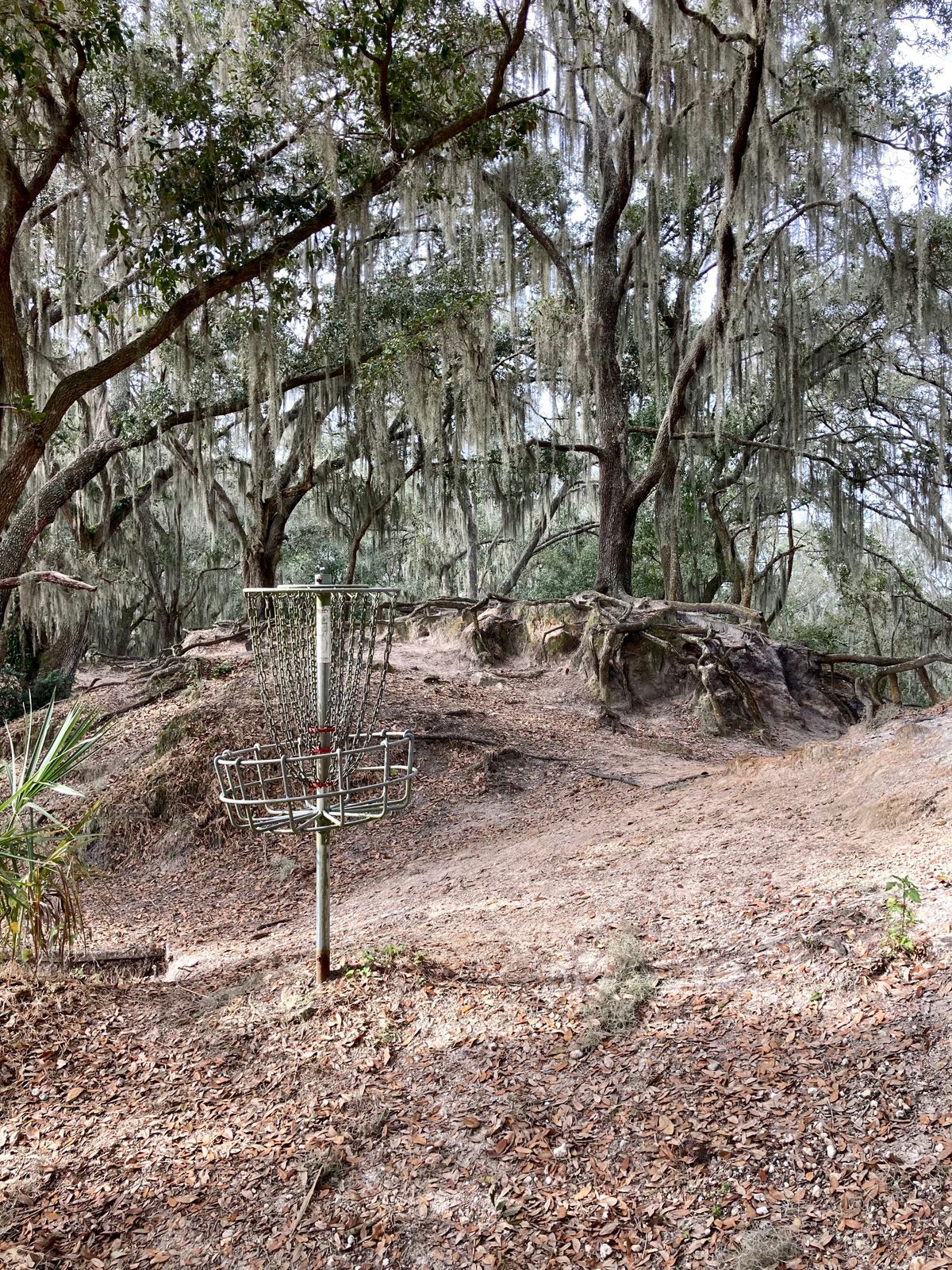 Hole 9