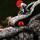 User avatar image