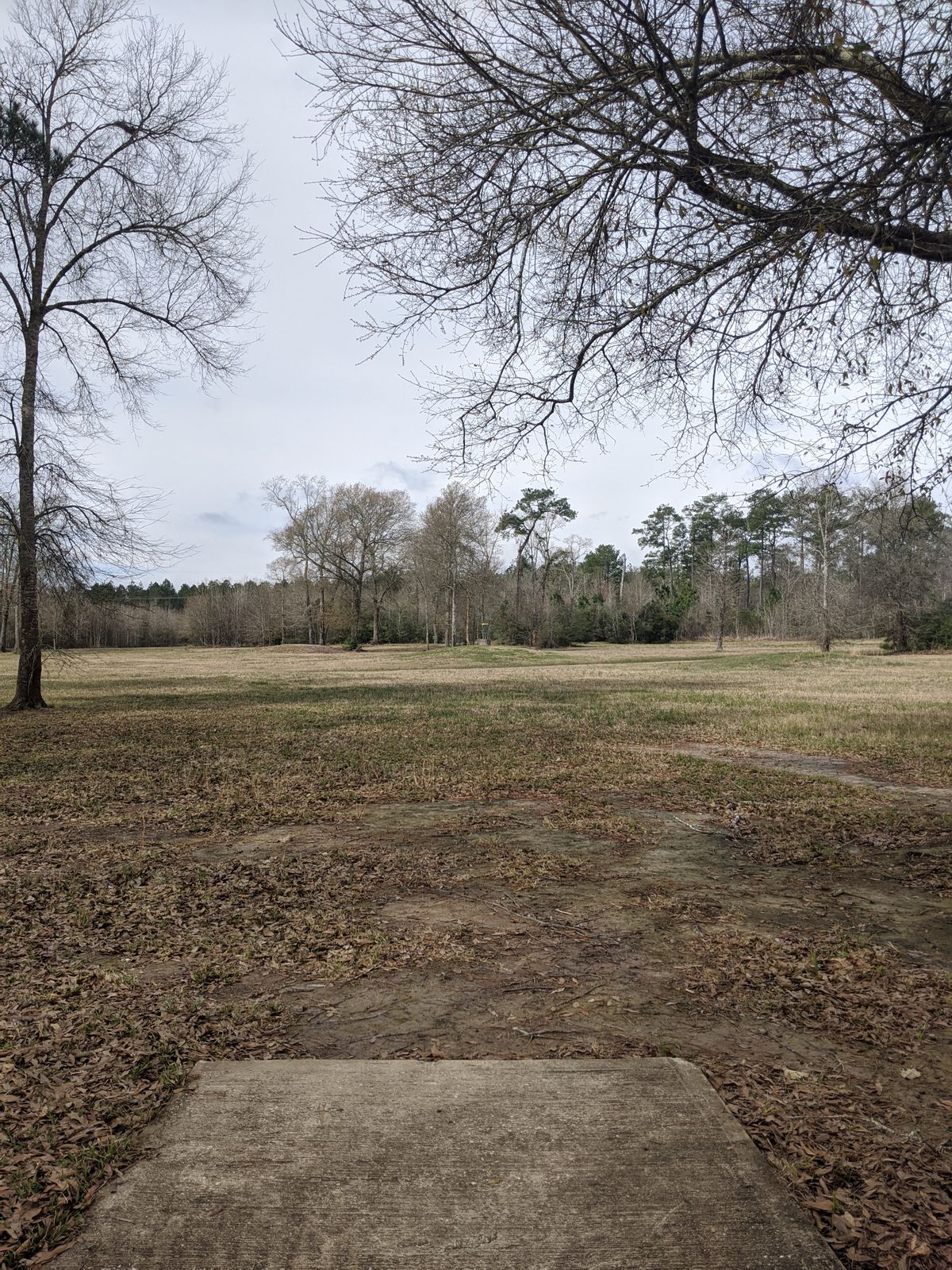 Hole 5 Short Tee