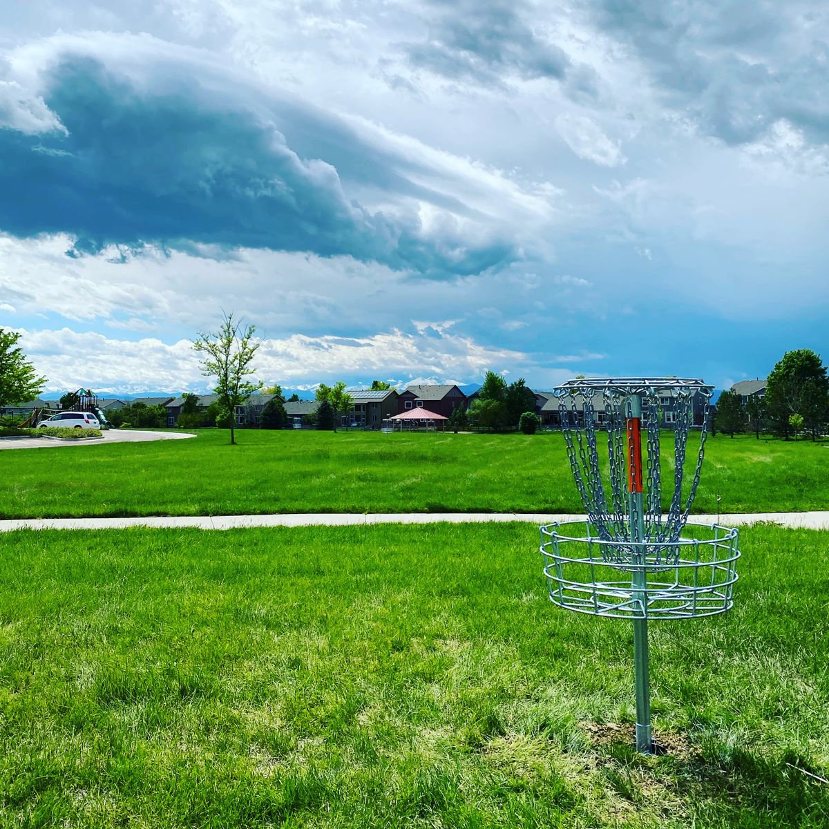 Hole #8 basket.  You can play it as an island with a drops zone on the sidewalk before it splits.