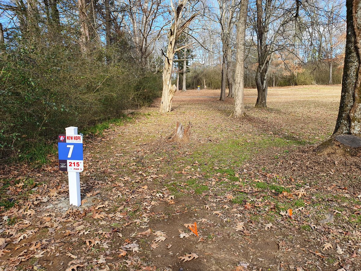 hole 7