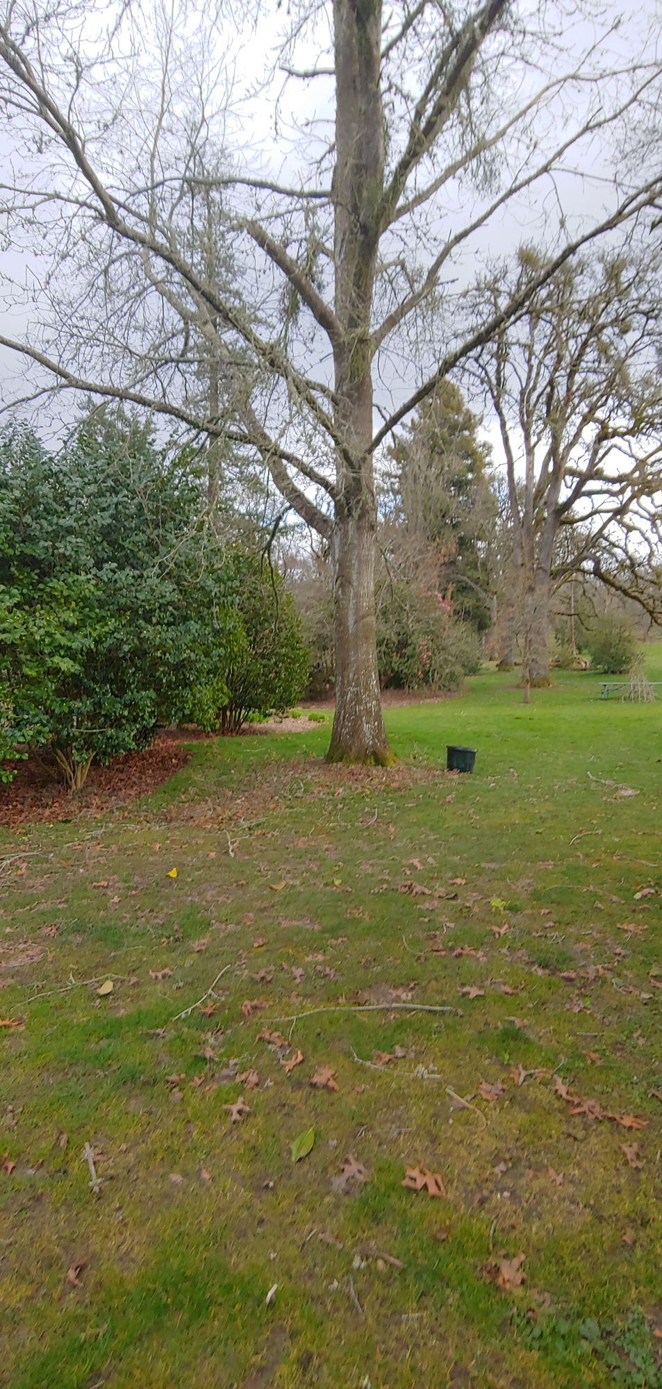 Hole 3