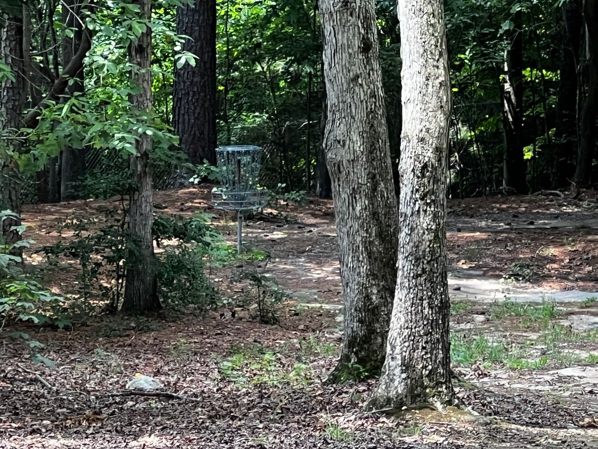 Hole 3 basket