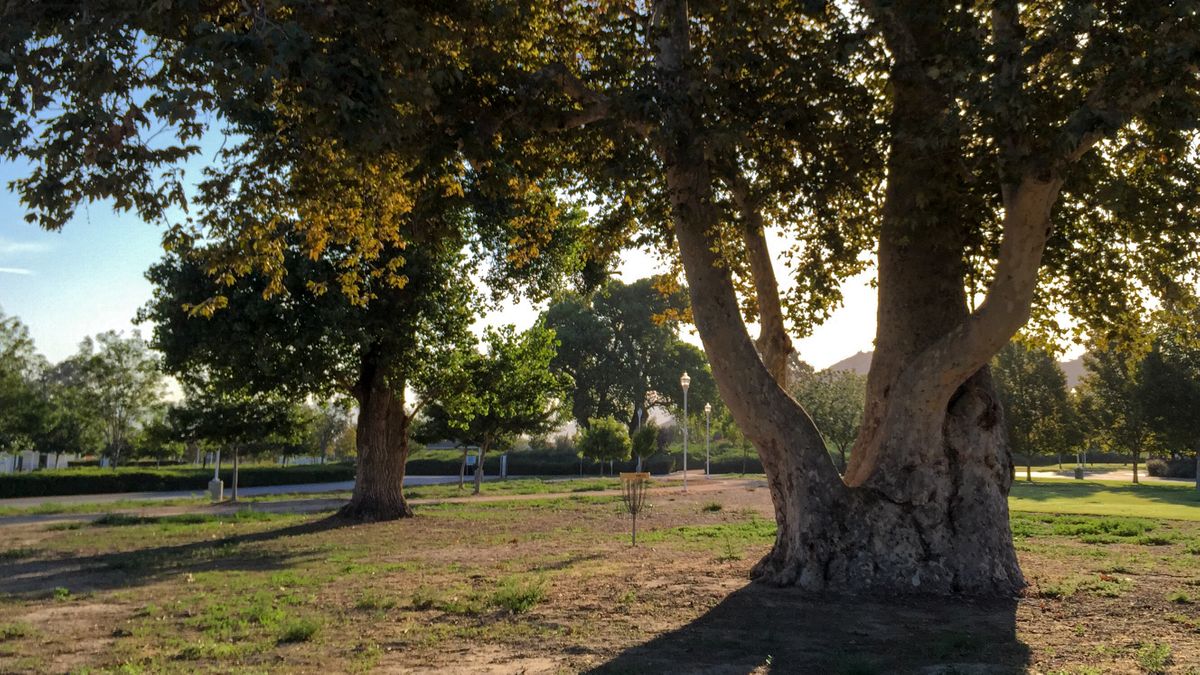 Hole 7