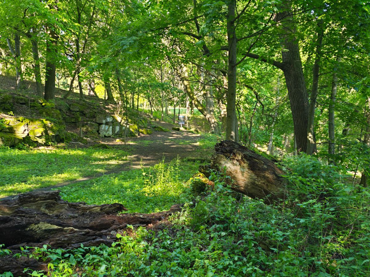 Hole 4