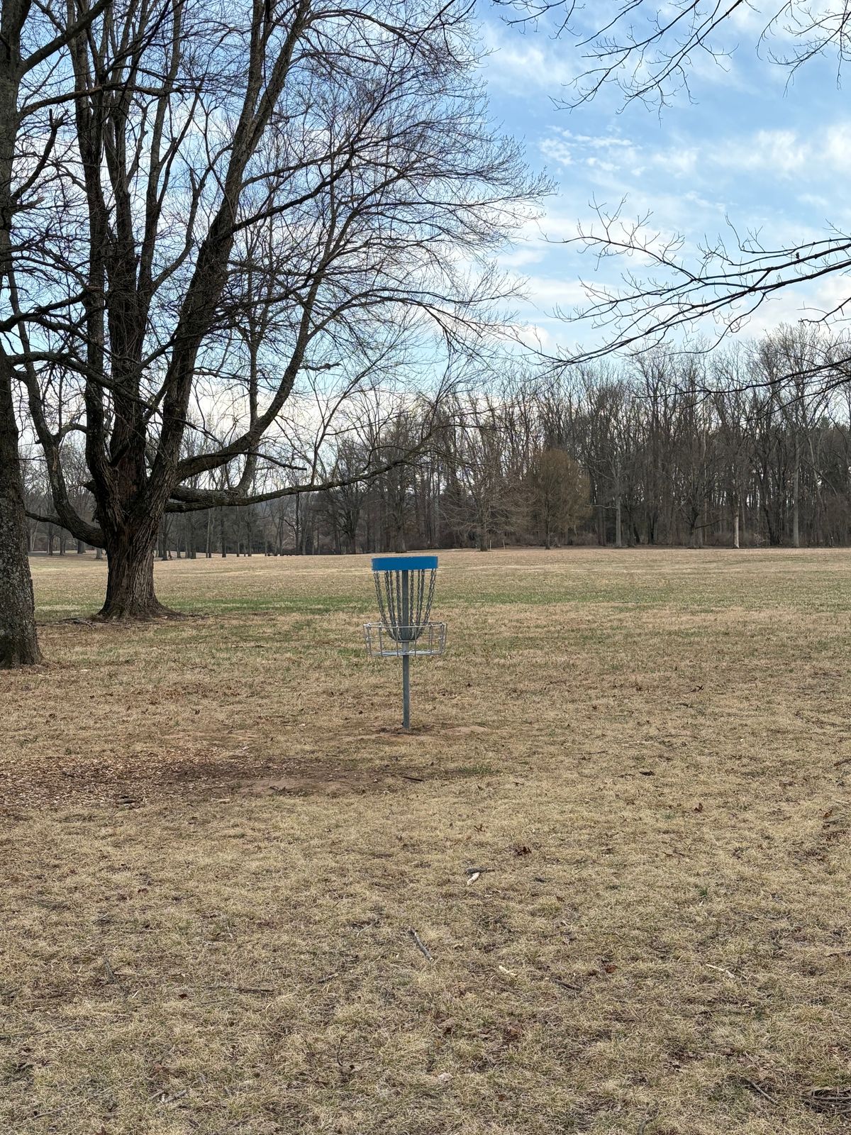 New hole 11 is slightly further back from the old position but in the same tree cluster.