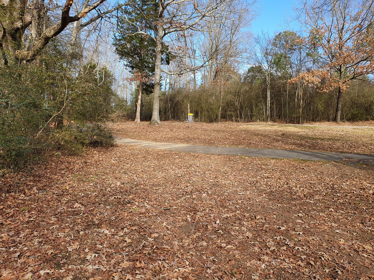 hole 7 basket