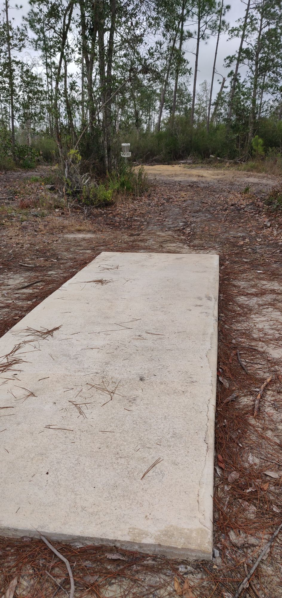 Hole 6 pad