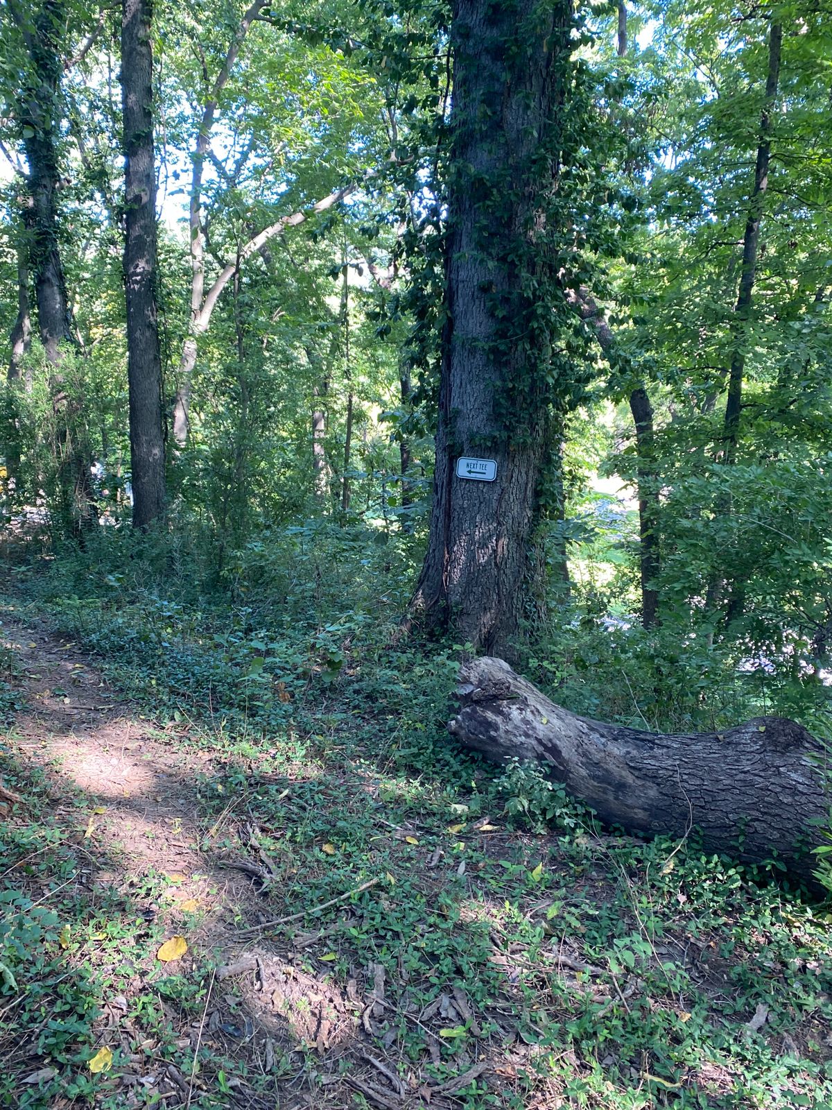 Trail from Hole 4 to Hole 5.