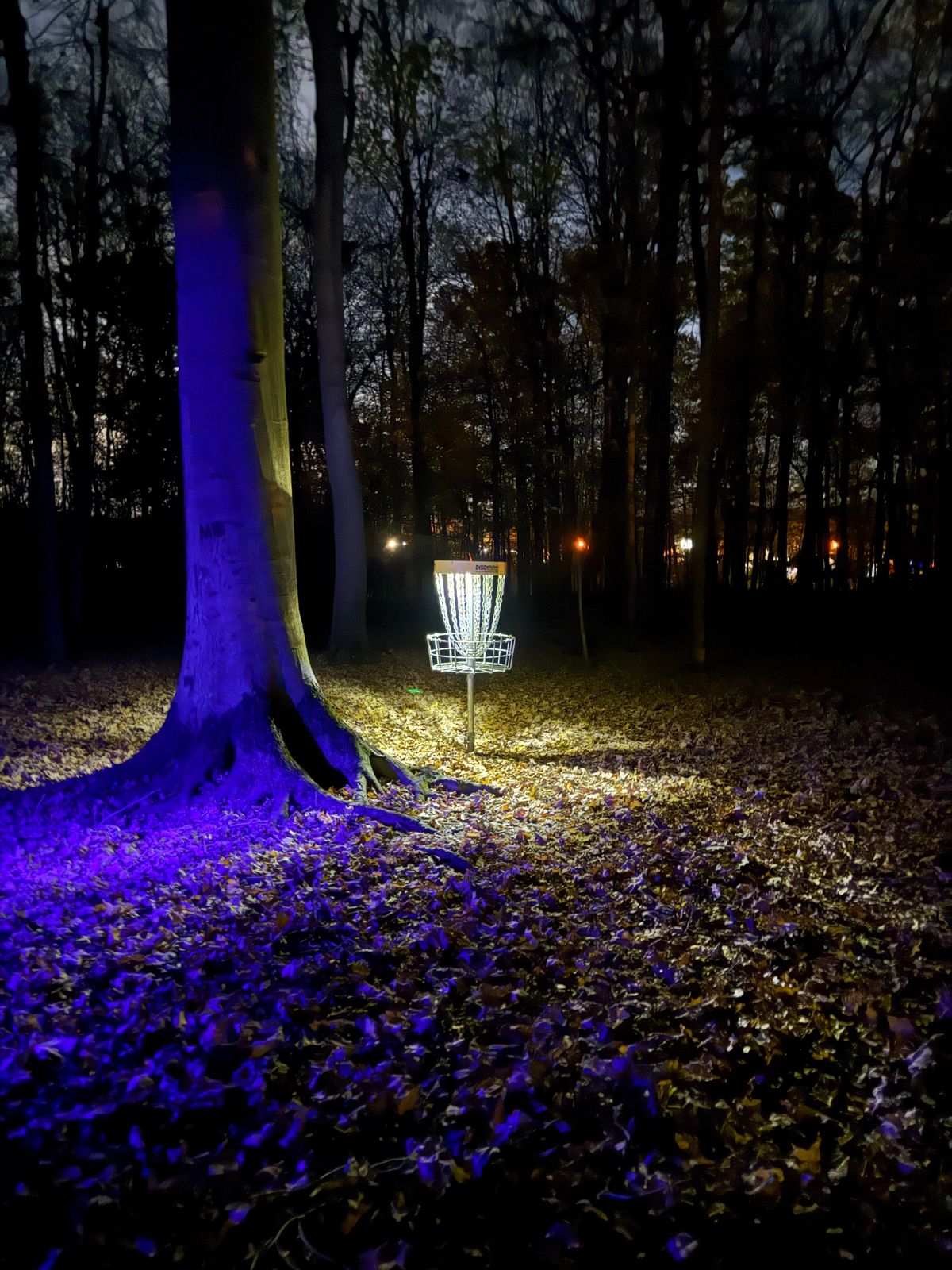 Hole 11 glow