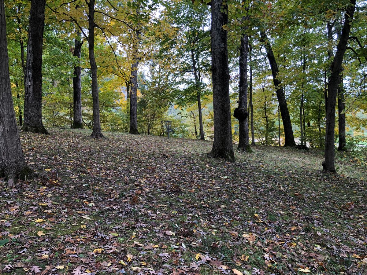 fairway of hole 2. 