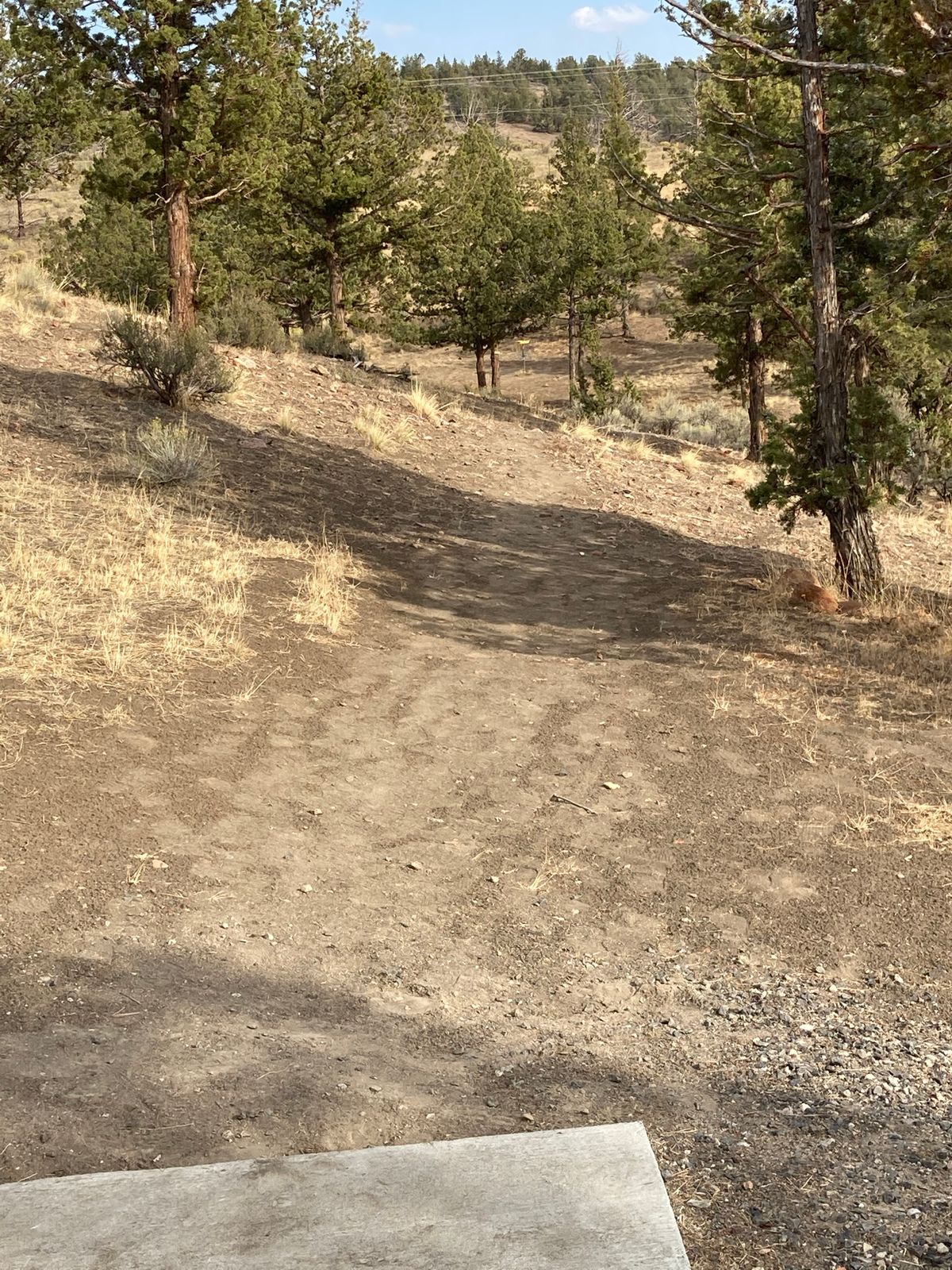 Hole 5