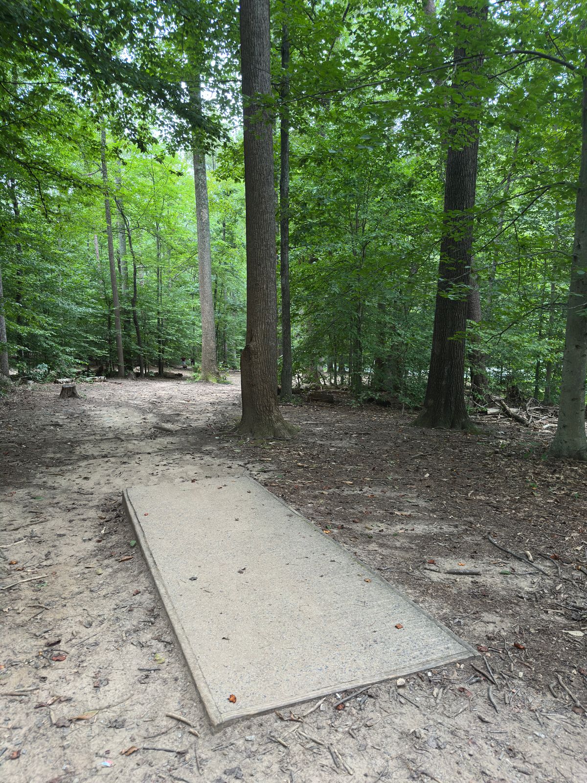 Hole 13 red tee