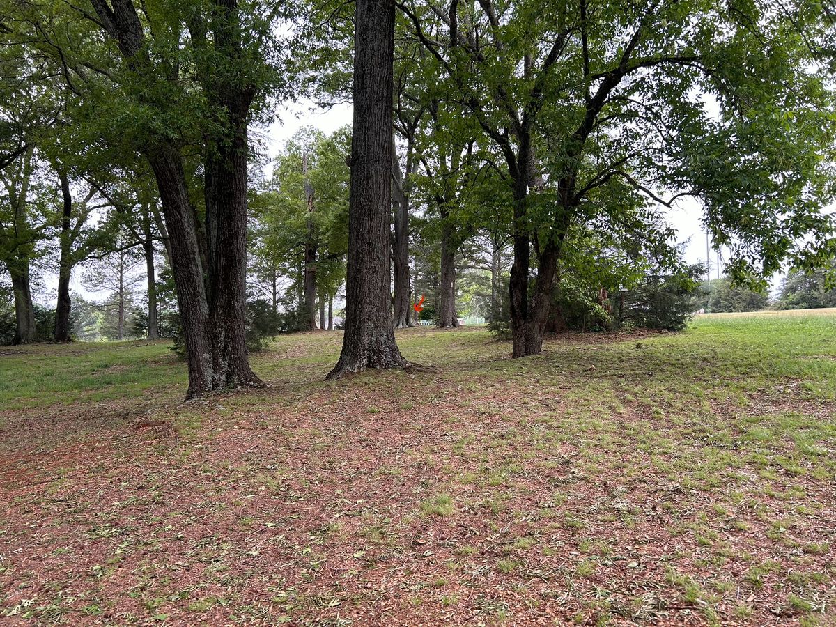 Hole 18 from tee. Basket is near red drawn arrow
