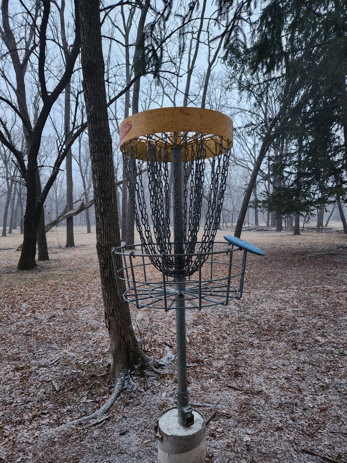 Jan 6, 2025, Hole 6