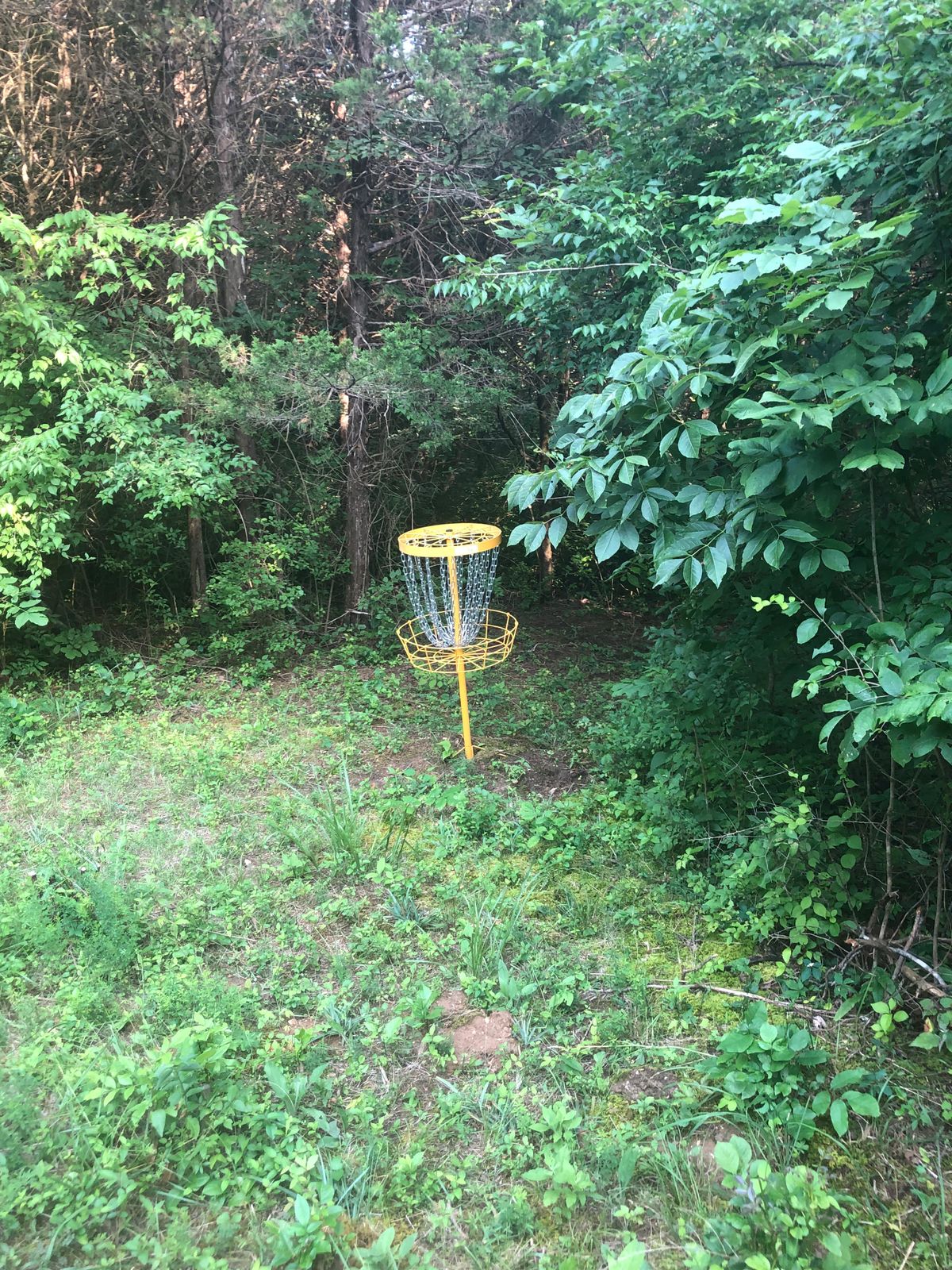 Hole 4 green