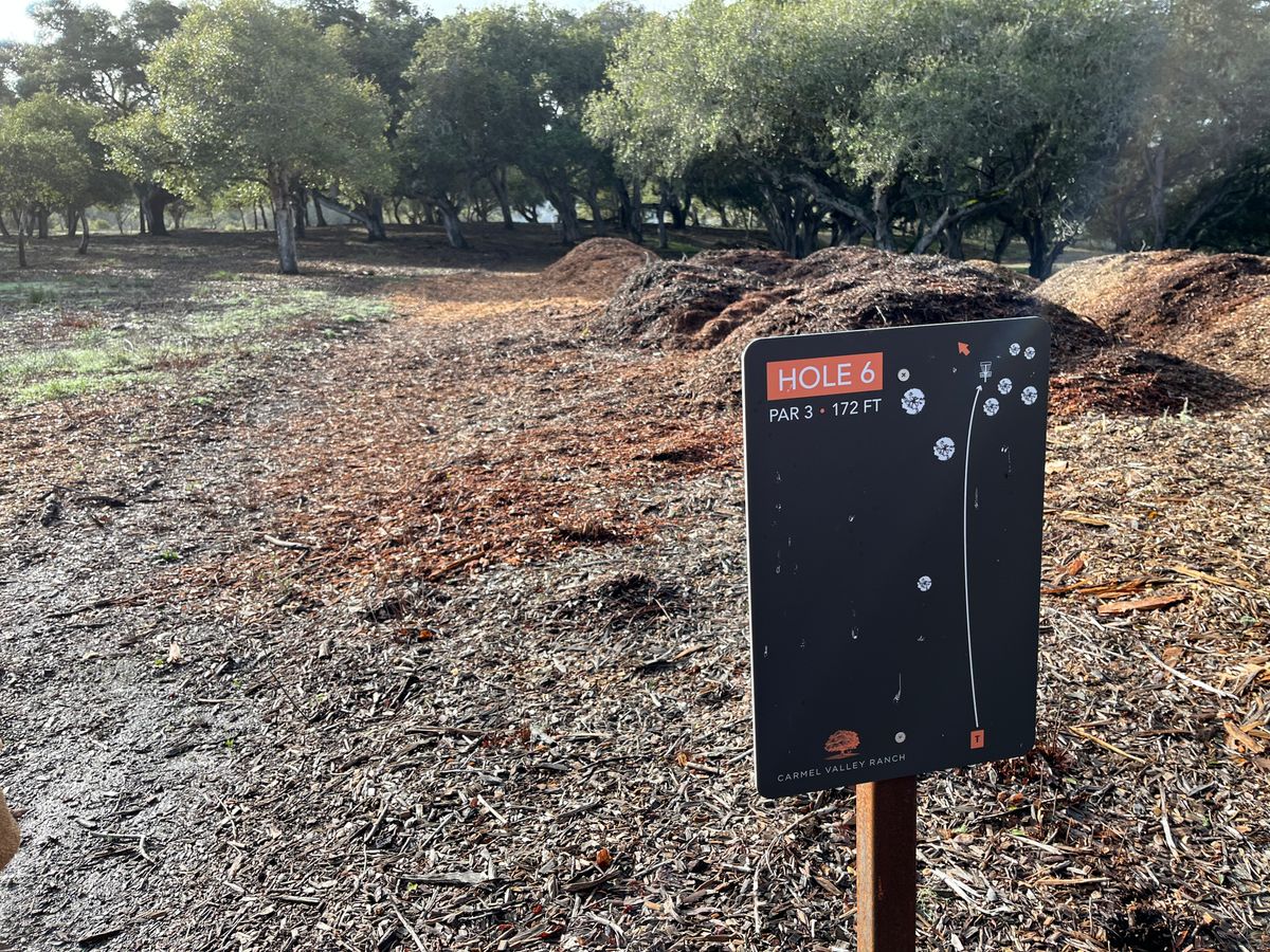 Hole 6 - Par 3 172ft