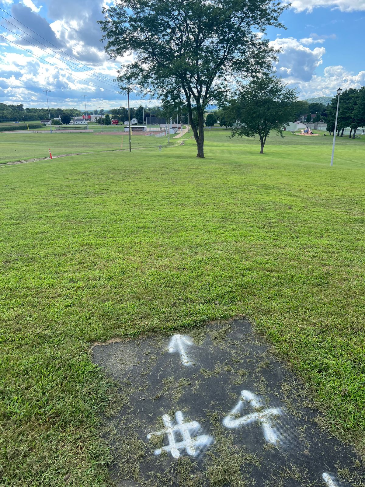 Hole 13 Tee