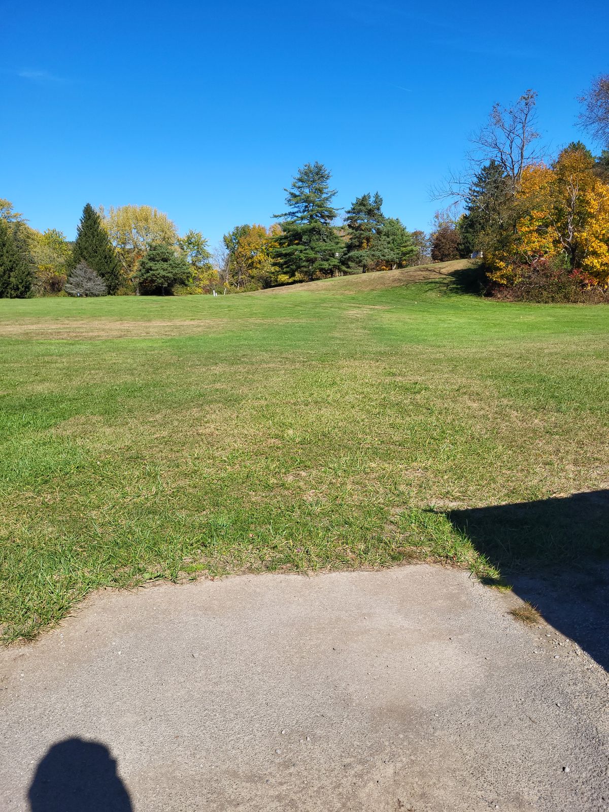 Hole 8 tee
