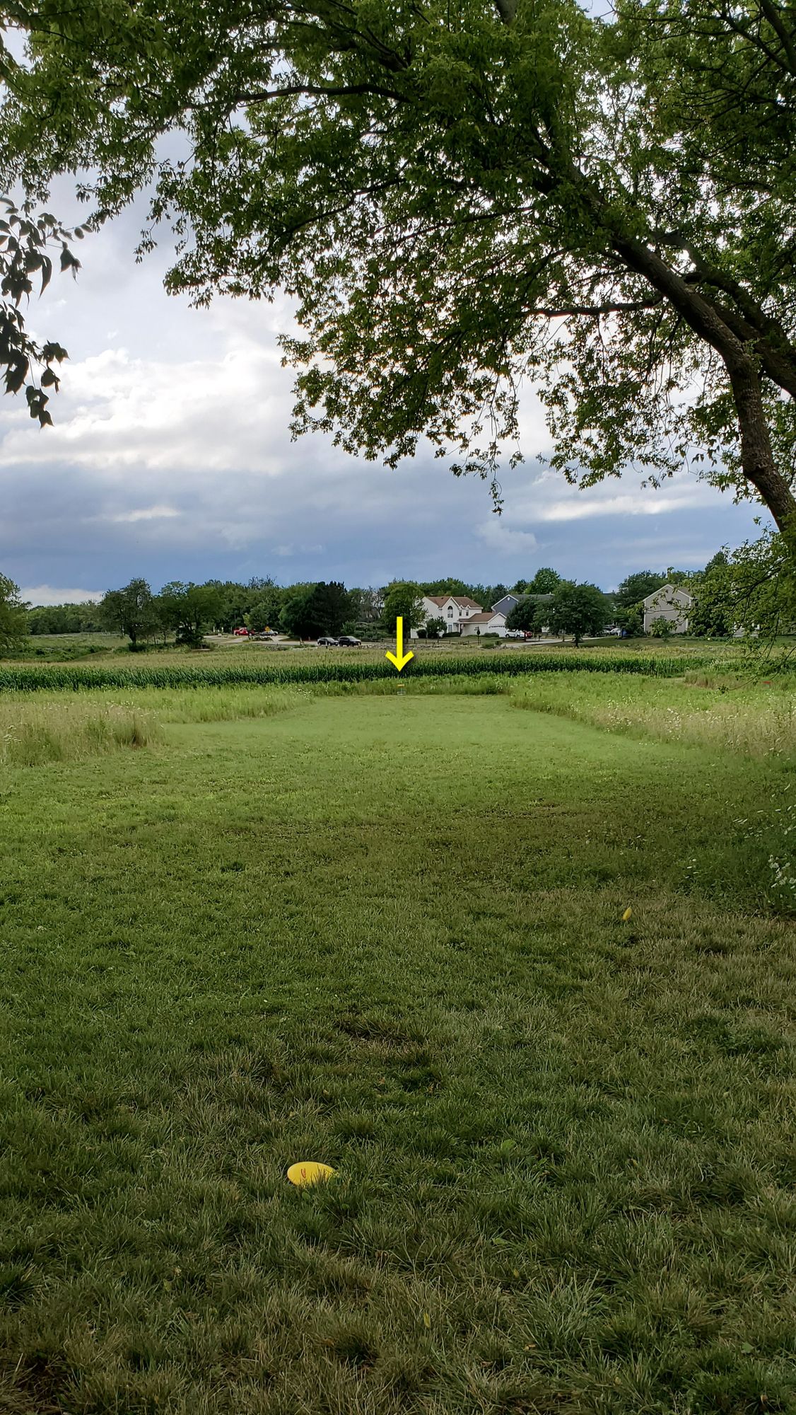 Hole 18's fairway.