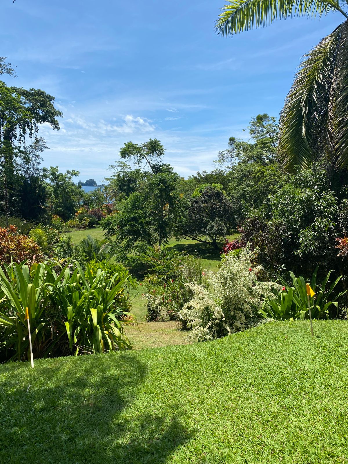 Tee off with Bird Island view