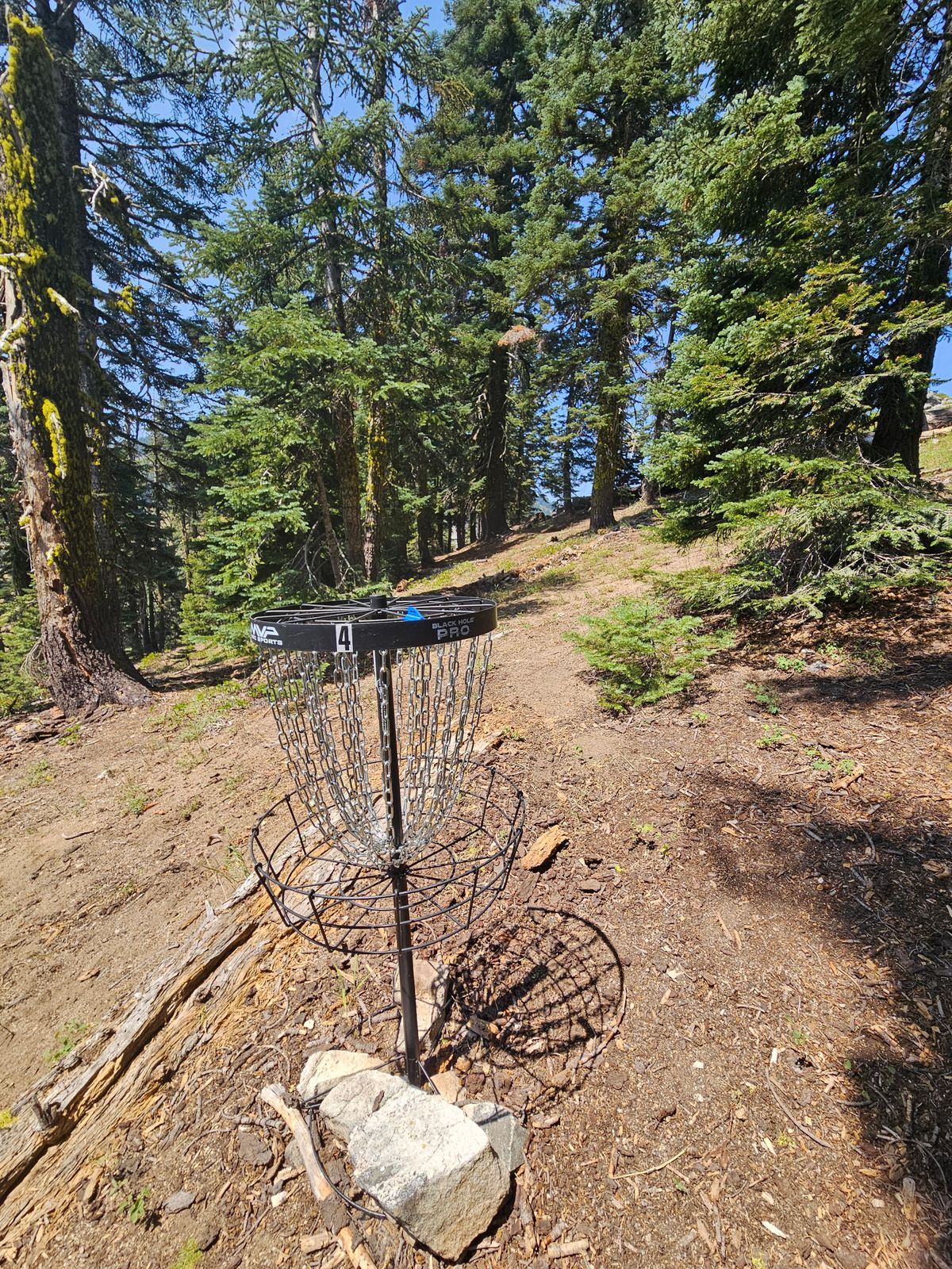 View from Basket 4 back to Tee 4