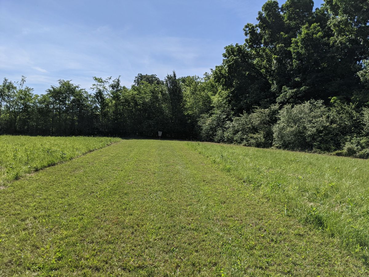 Hole 8 Fairway