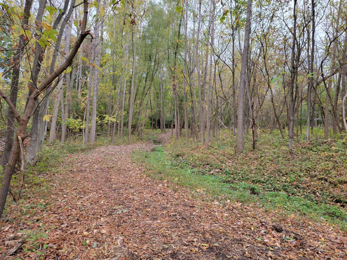 Hole 3 Blue