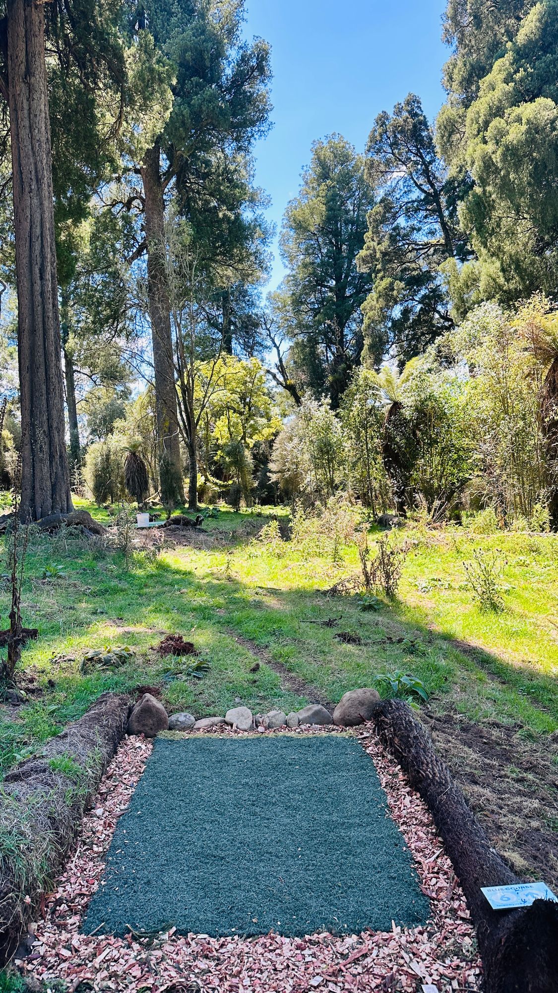 Blue Layout Temp Tee - Hole 6 - Spotter?!