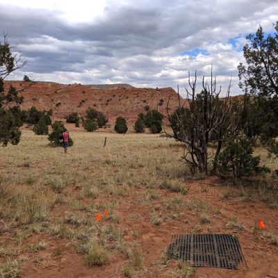 Hole #8 Tee