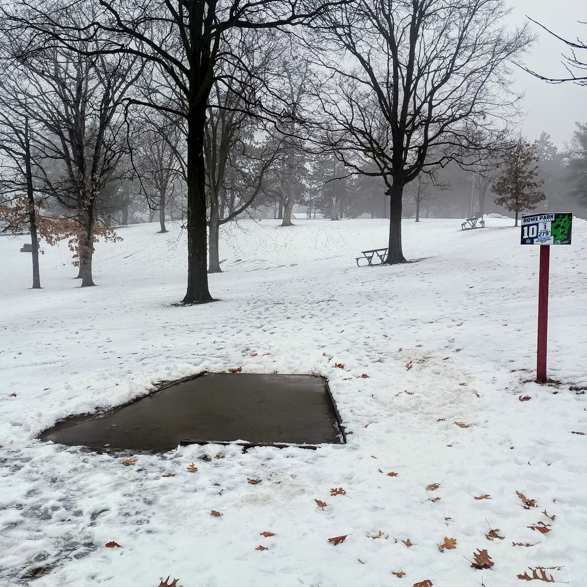 1/6/26 Hole 10 on a foggy winter day

PC: @ukehop