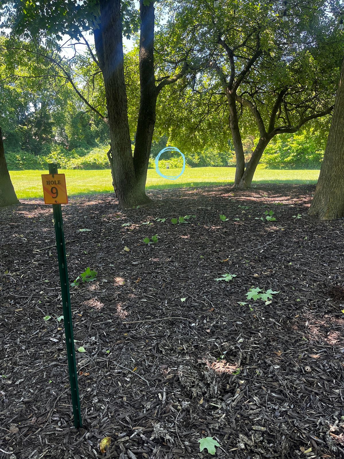 Hole 9. Clean view of the basket but a narrow low opening. OB marked behind the basket.