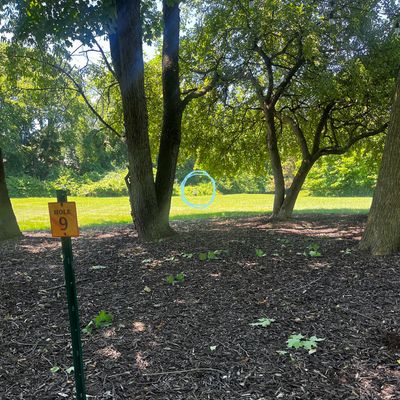Hole 9. Clean view of the basket but a narrow low opening. OB marked behind the basket.