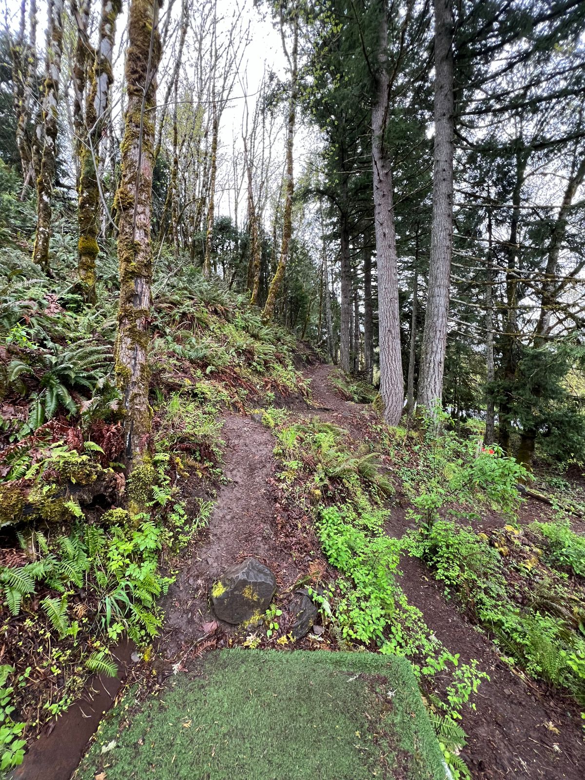 Hole 5. Side of a hill.