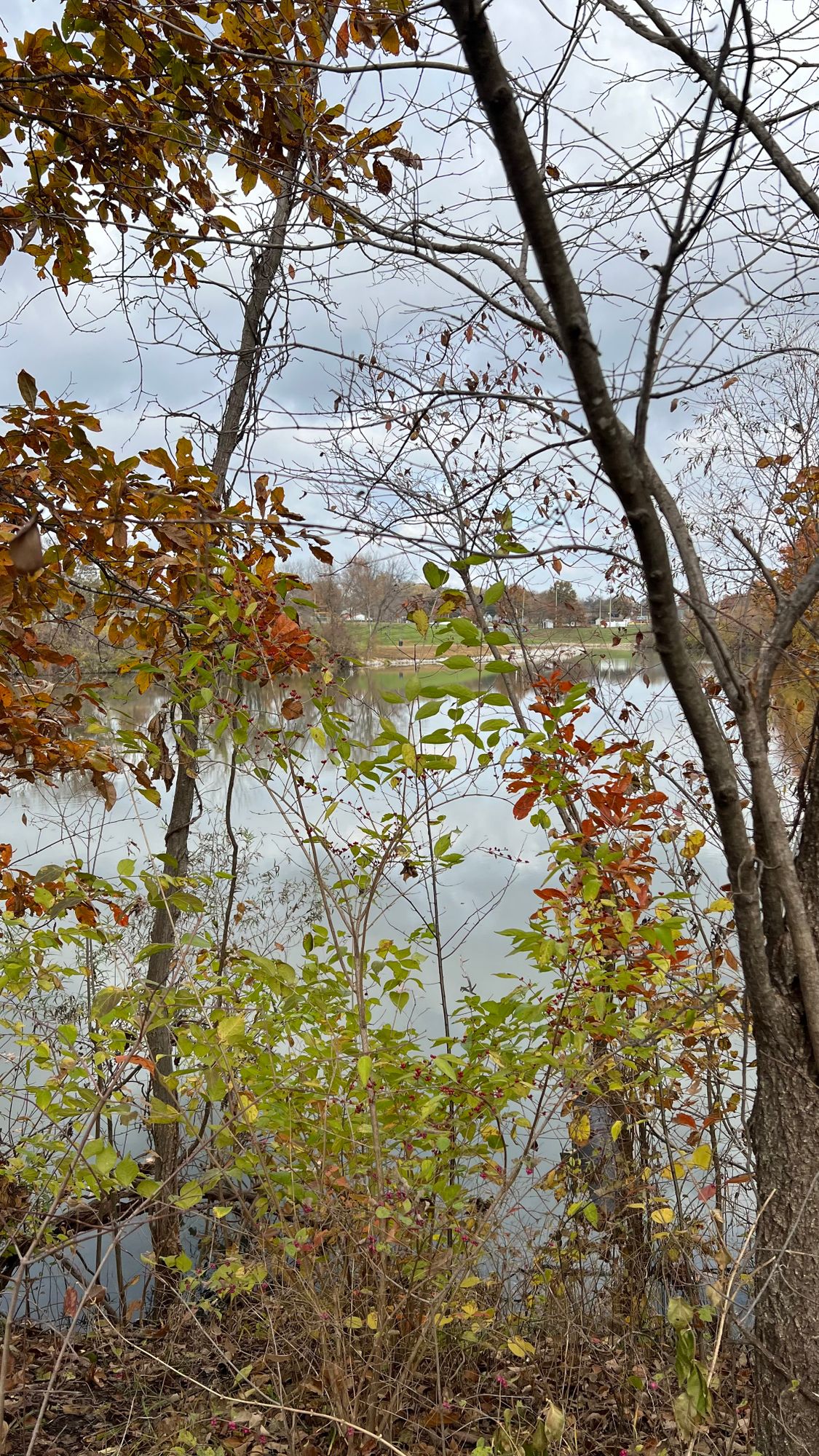 Backside of lake between 7 basket and 8 tee