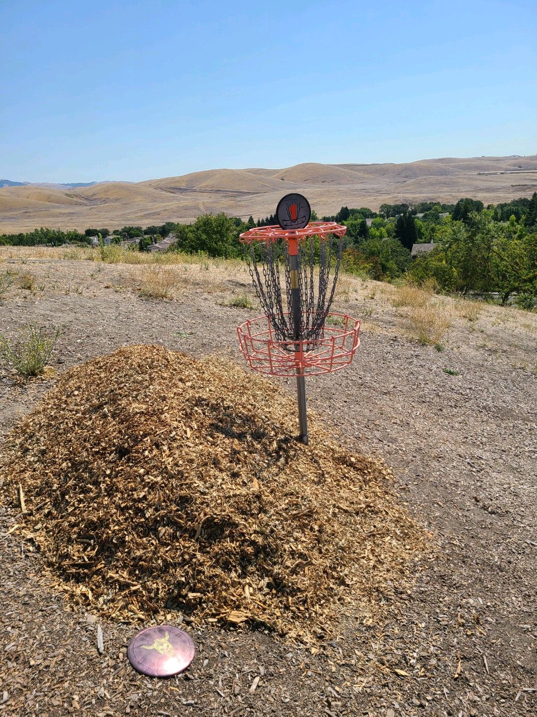New bark has been dumped and will be spread around the baskets