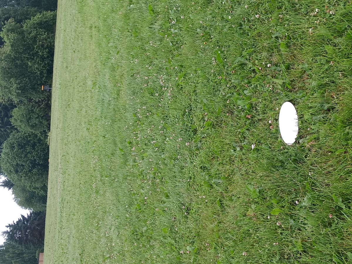 Hole 6