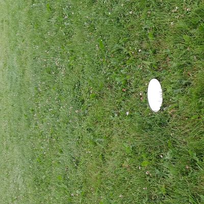 Hole 6