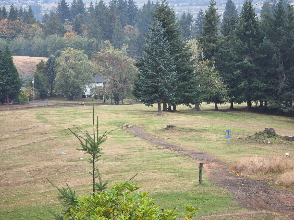 Lco 2025 putt off