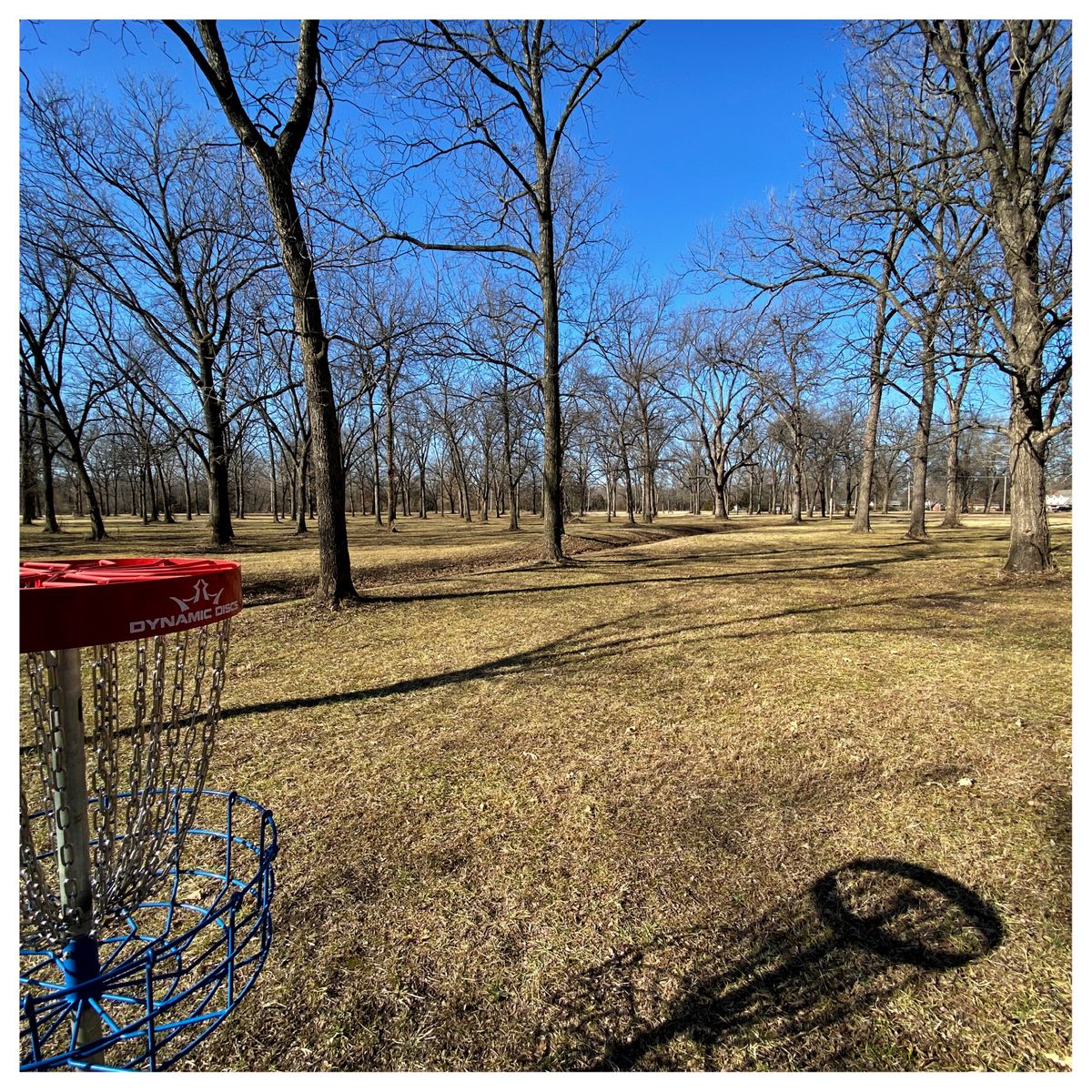 #10 green