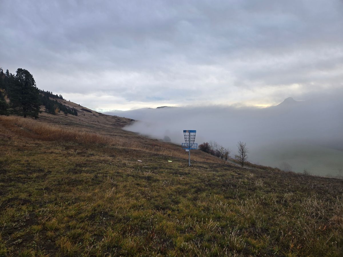 Basket 2. Fog rolled in