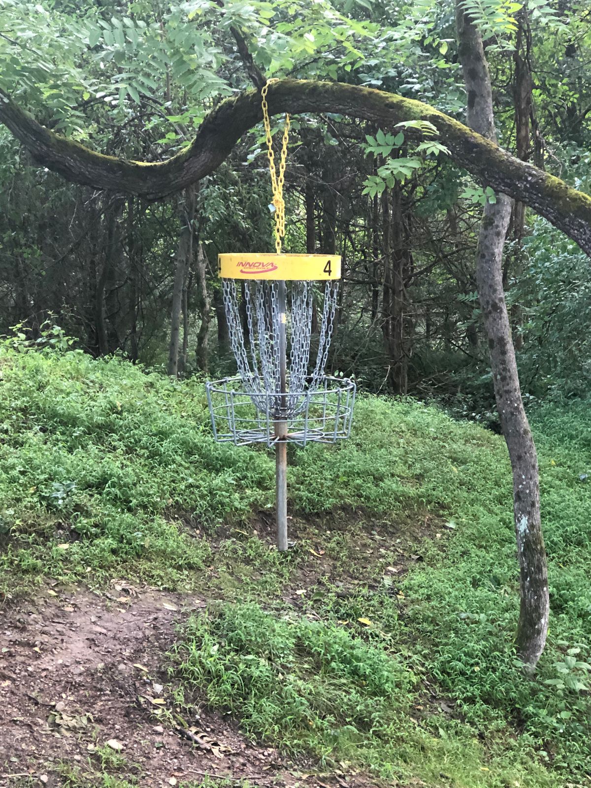 Previous Hole 4A. Tee pad & basket have moved