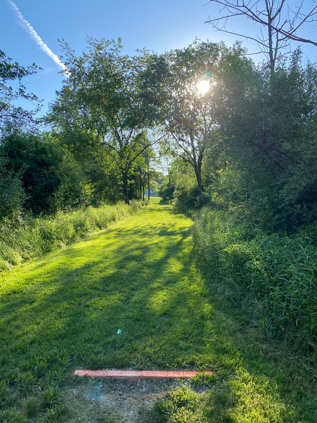 Hole 10 Long Tee (No Shorts)