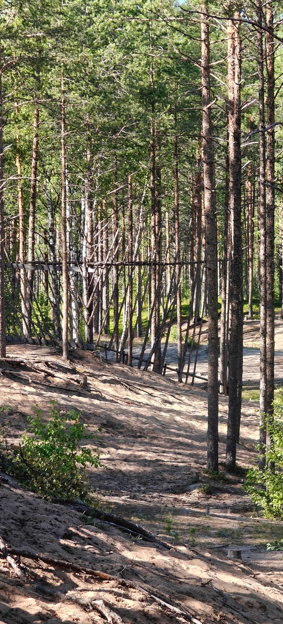 Hole 4