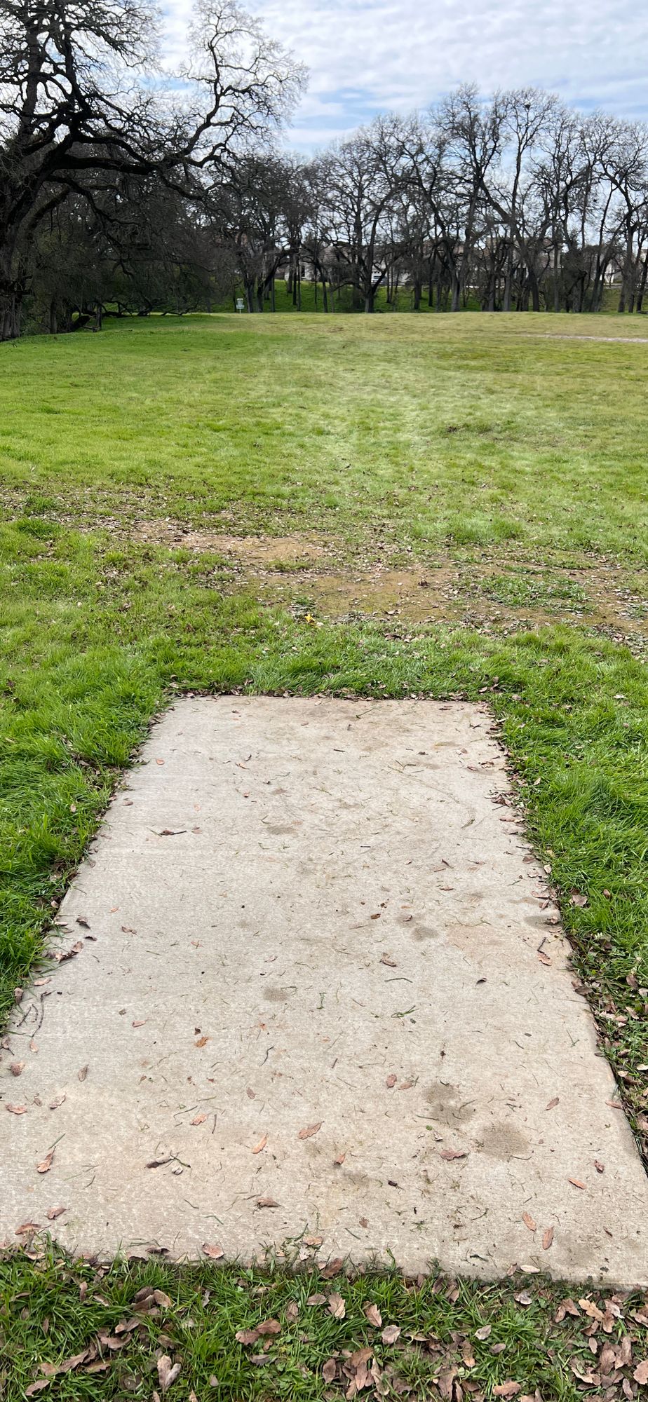 Hole 15