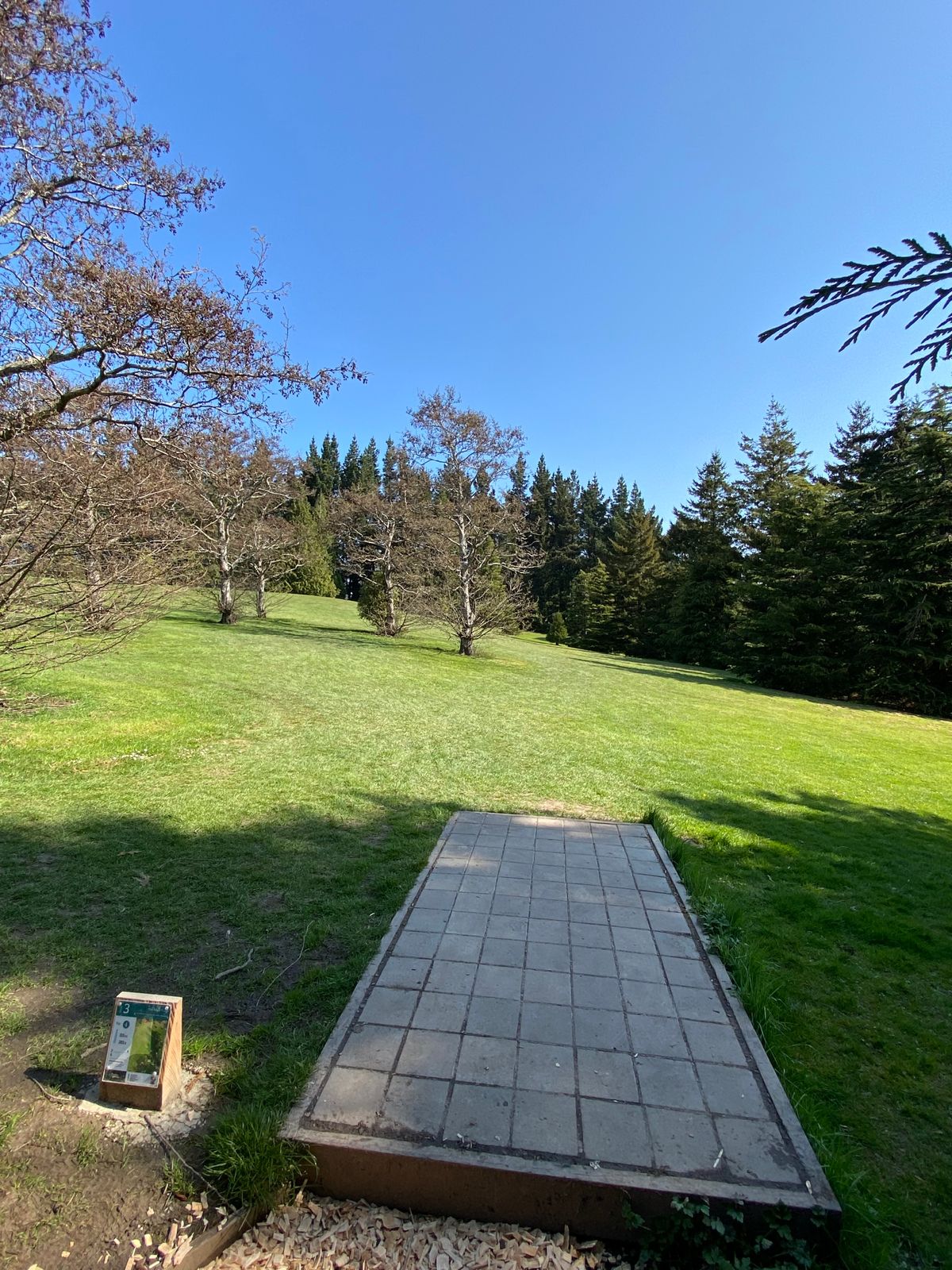 "The Magic Track" named by Sophie aged 6.  
A generous par 4 with a sloping fairway.